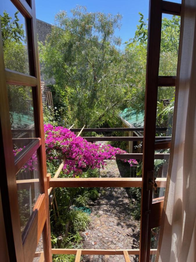 Colonia Suite Apartments Colonia del Sacramento Zewnętrze zdjęcie