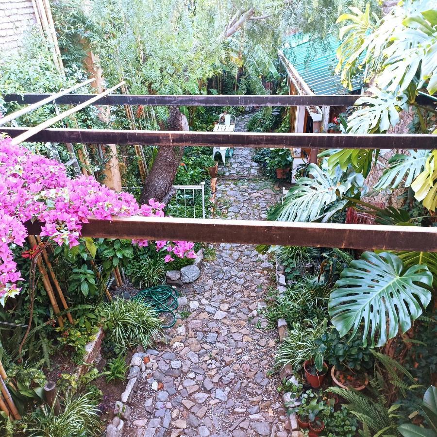 Colonia Suite Apartments Colonia del Sacramento Zewnętrze zdjęcie