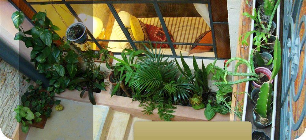 Colonia Suite Apartments Colonia del Sacramento Zewnętrze zdjęcie